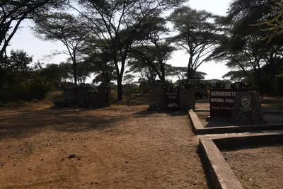 DSC_3372 (Large).JPG